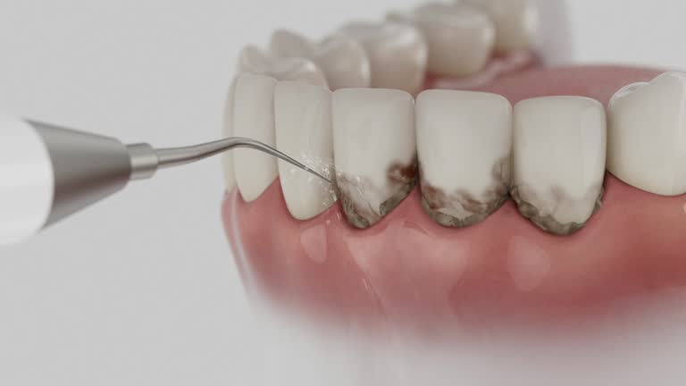 Reliable Dental contractor in Fresno, TX by Dentist Open Now